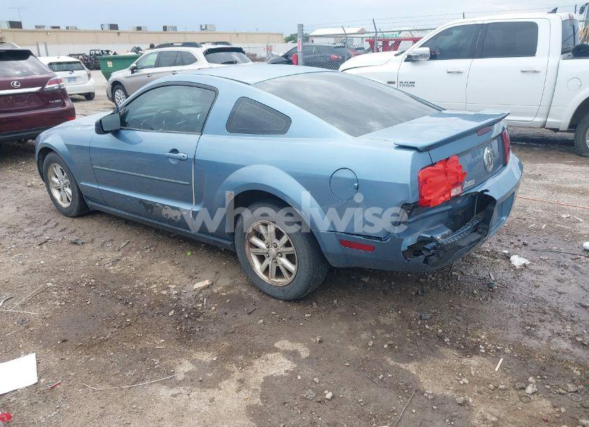 Photo 3 of 2008 Ford Mustang V6 DELUXE/V6 PREMIUM (VIN 1ZVHT80N885130396)