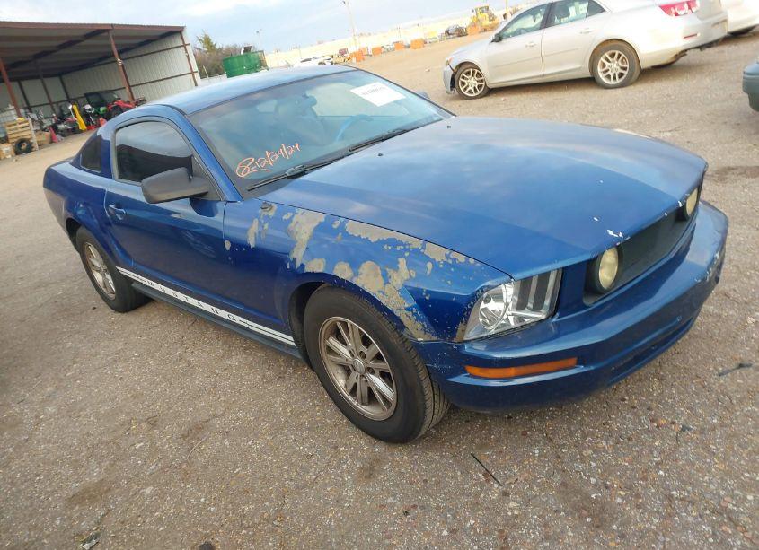 2008 Ford Mustang V6 DELUXE/V6 PREMIUM (VIN 1ZVHT80N885135274) main photo