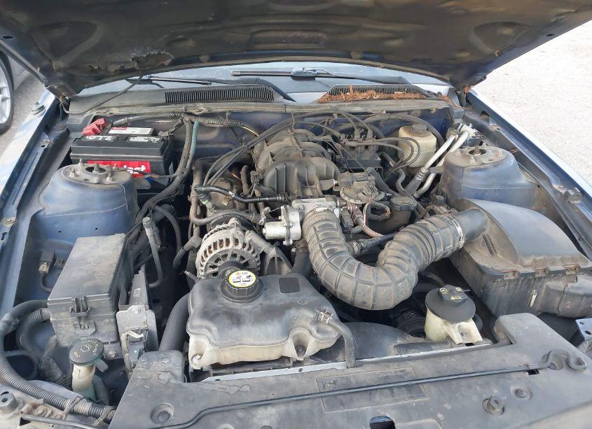 Photo 10 of 2008 Ford Mustang V6 DELUXE/V6 PREMIUM (VIN 1ZVHT80N885135274)