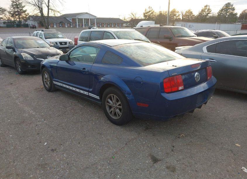 Photo 3 of 2008 Ford Mustang V6 DELUXE/V6 PREMIUM (VIN 1ZVHT80N885135274)