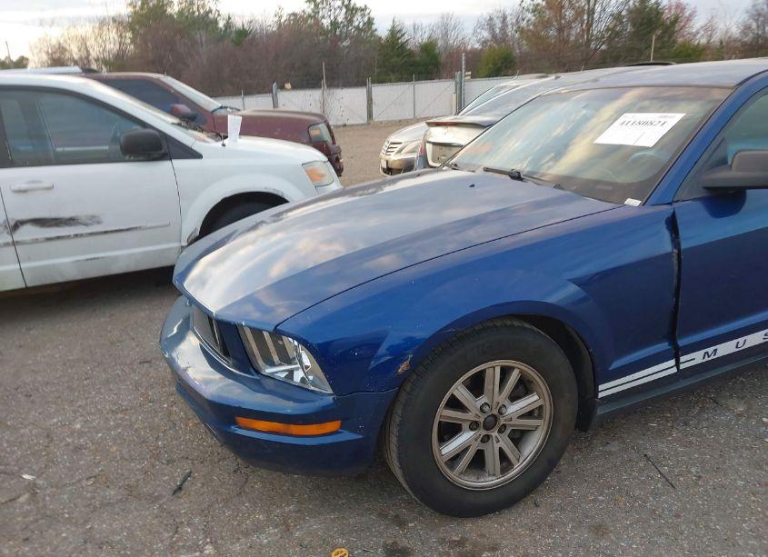 Photo 6 of 2008 Ford Mustang V6 DELUXE/V6 PREMIUM (VIN 1ZVHT80N885135274)