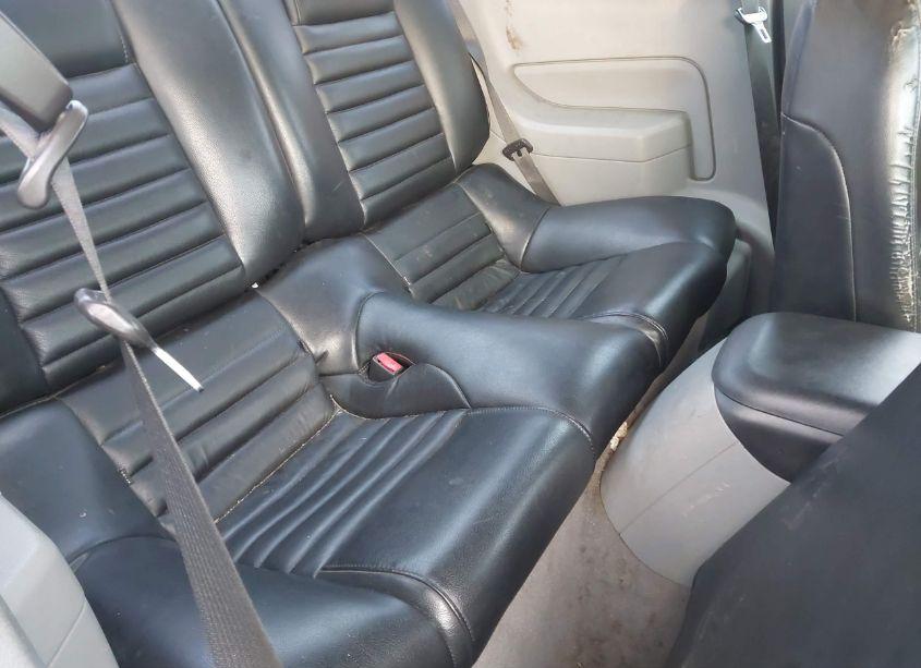 Photo 8 of 2008 Ford Mustang V6 DELUXE/V6 PREMIUM (VIN 1ZVHT80N885135274)