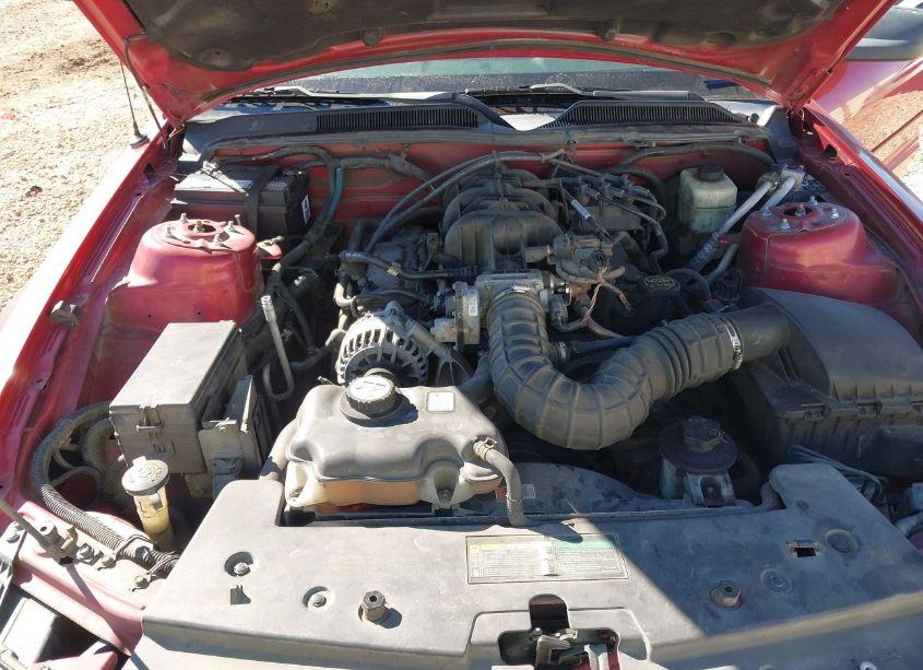 Photo 10 of 2008 Ford Mustang V6 DELUXE/V6 PREMIUM (VIN 1ZVHT80N885175127)