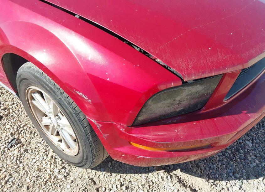 Photo 6 of 2008 Ford Mustang V6 DELUXE/V6 PREMIUM (VIN 1ZVHT80N885175127)