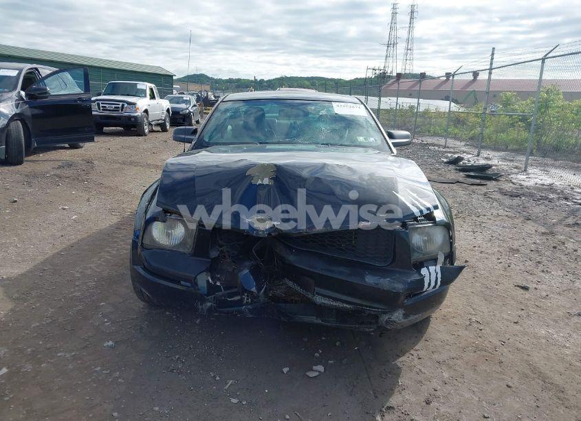 Photo 13 of 2008 Ford Mustang (VIN 1ZVHT80N885182661)