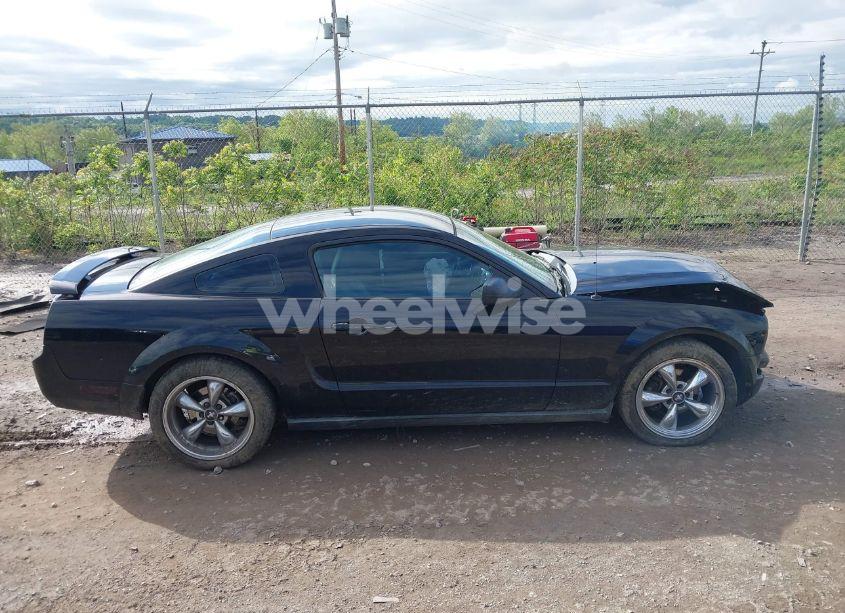 Photo 14 of 2008 Ford Mustang (VIN 1ZVHT80N885182661)