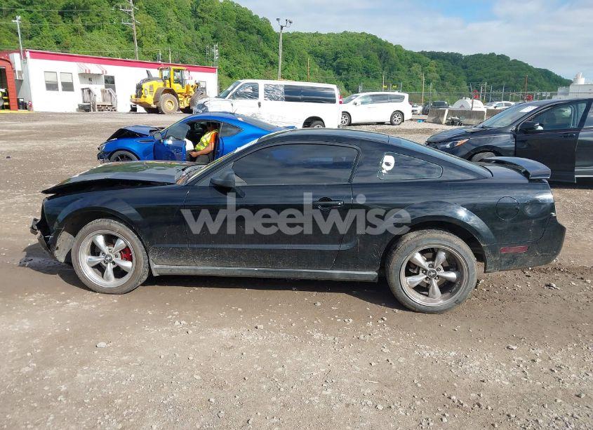 Photo 15 of 2008 Ford Mustang (VIN 1ZVHT80N885182661)