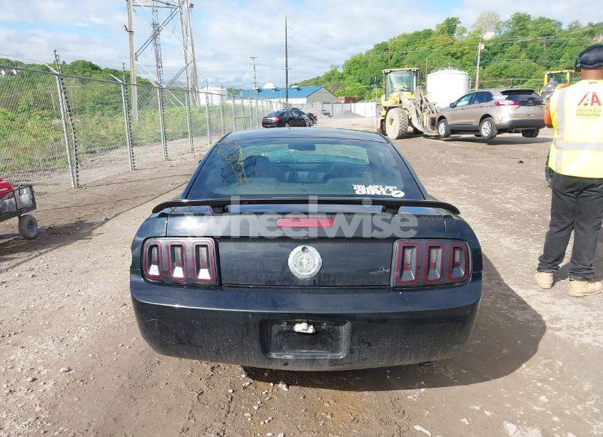Photo 17 of 2008 Ford Mustang (VIN 1ZVHT80N885182661)