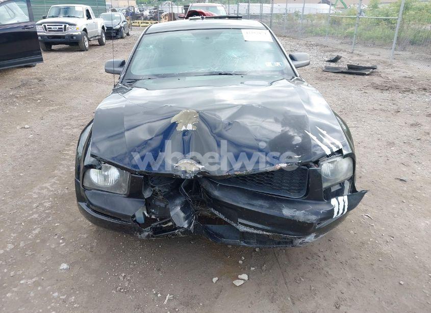 Photo 6 of 2008 Ford Mustang (VIN 1ZVHT80N885182661)