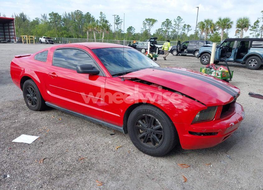 2008 Ford Mustang V6 DELUXE/V6 PREMIUM (VIN 1ZVHT80N885207607) main photo