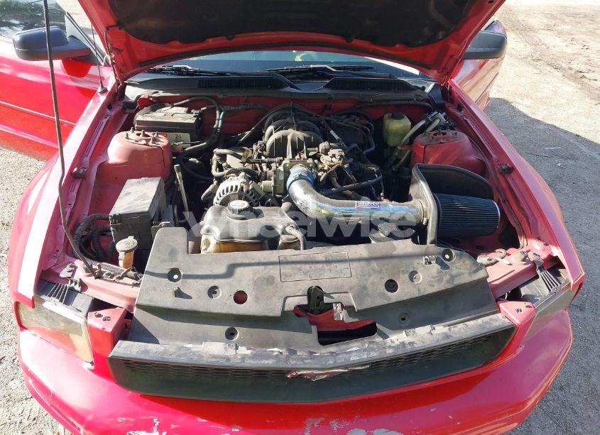 Photo 10 of 2008 Ford Mustang V6 DELUXE/V6 PREMIUM (VIN 1ZVHT80N885207607)