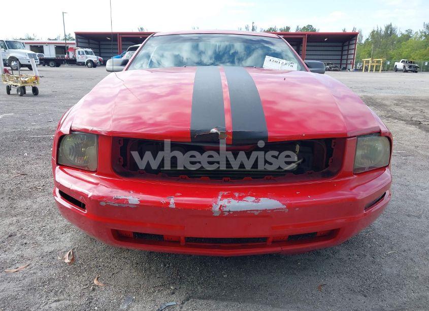 Photo 13 of 2008 Ford Mustang V6 DELUXE/V6 PREMIUM (VIN 1ZVHT80N885207607)