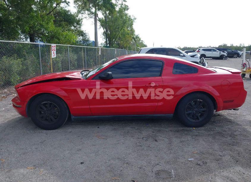 Photo 15 of 2008 Ford Mustang V6 DELUXE/V6 PREMIUM (VIN 1ZVHT80N885207607)