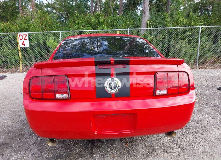 Photo 17 of 2008 Ford Mustang V6 DELUXE/V6 PREMIUM (VIN 1ZVHT80N885207607)