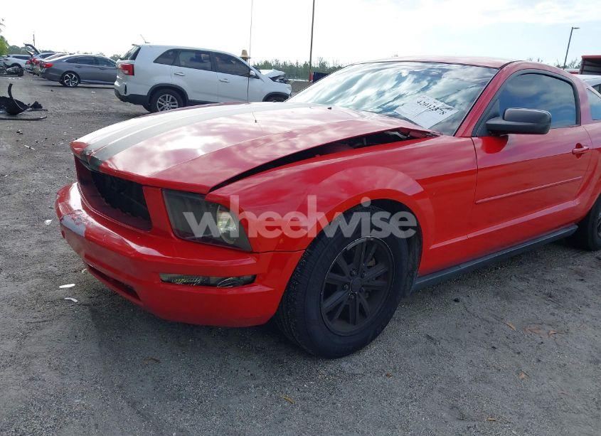 Photo 6 of 2008 Ford Mustang V6 DELUXE/V6 PREMIUM (VIN 1ZVHT80N885207607)