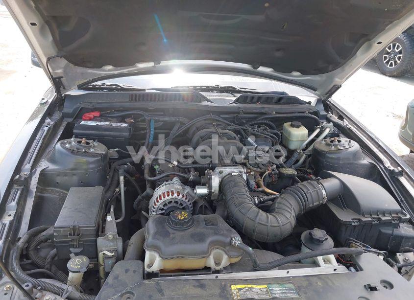 Photo 10 of 2008 Ford Mustang V6 DELUXE/V6 PREMIUM (VIN 1ZVHT80N885207767)