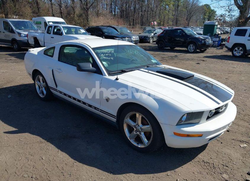 2009 Ford Mustang V6/V6 PREMIUM (VIN 1ZVHT80N895111445) main photo