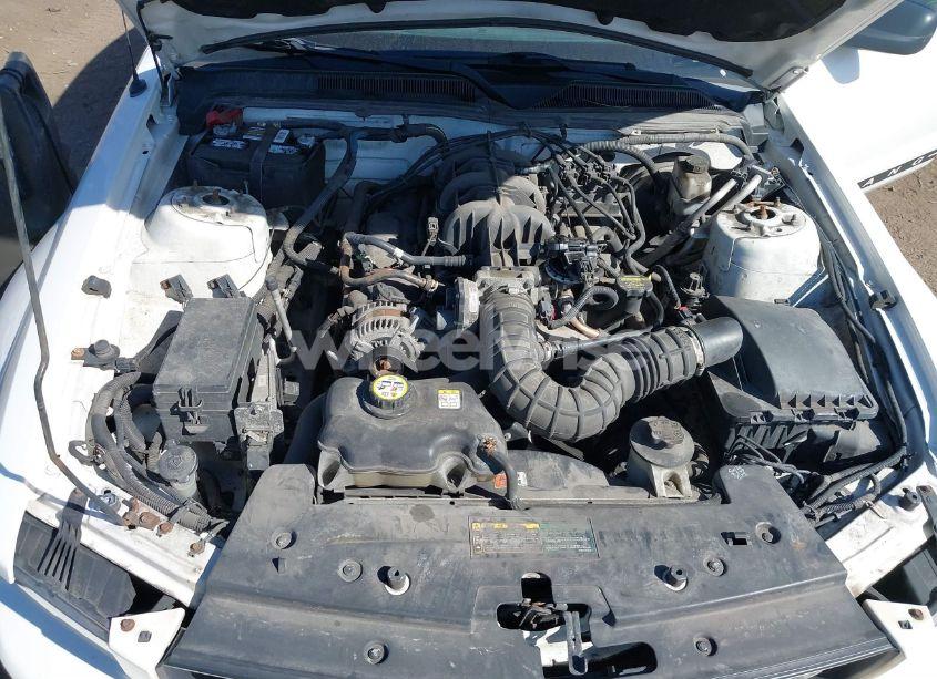 Photo 10 of 2009 Ford Mustang V6/V6 PREMIUM (VIN 1ZVHT80N895111445)