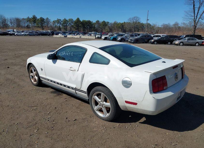 Photo 3 of 2009 Ford Mustang V6/V6 PREMIUM (VIN 1ZVHT80N895111445)