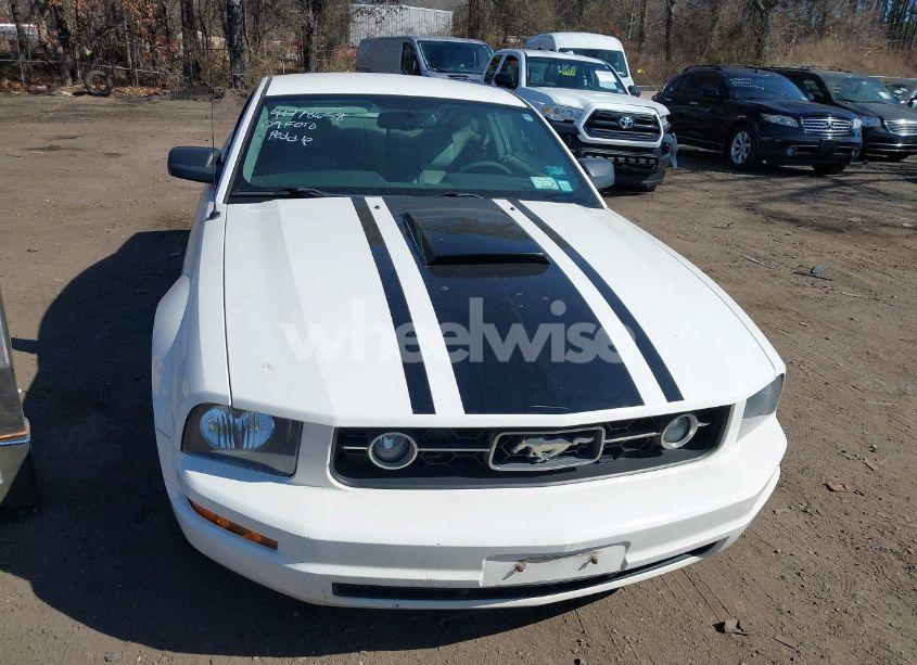 Photo 6 of 2009 Ford Mustang V6/V6 PREMIUM (VIN 1ZVHT80N895111445)