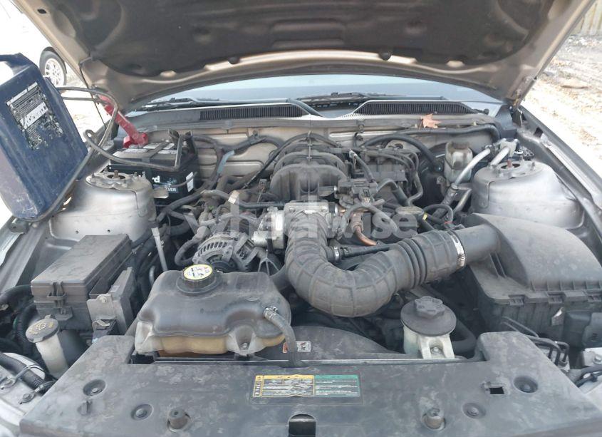 Photo 10 of 2009 Ford Mustang V6/V6 PREMIUM (VIN 1ZVHT80N895118363)