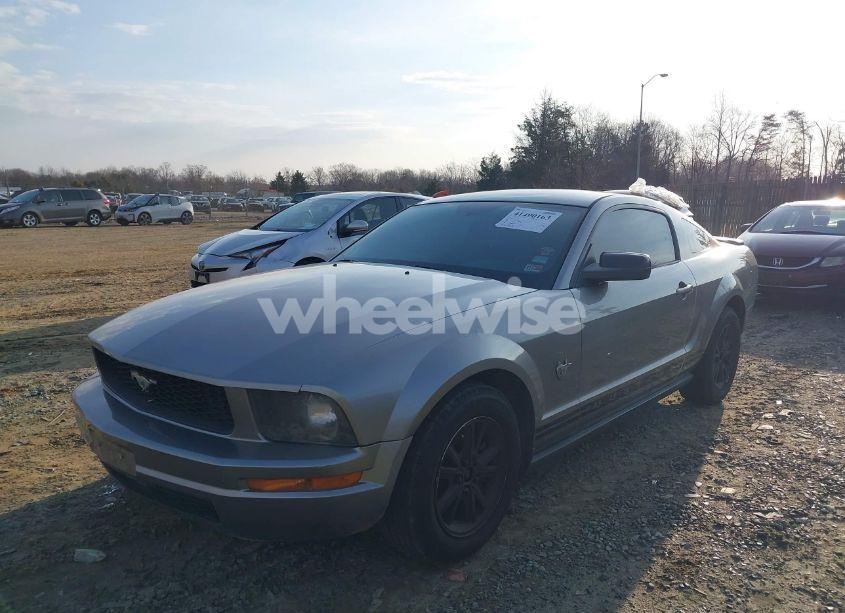 Photo 6 of 2009 Ford Mustang V6/V6 PREMIUM (VIN 1ZVHT80N895118363)