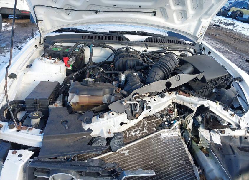 Photo 10 of 2009 Ford Mustang V6/V6 PREMIUM (VIN 1ZVHT80N895130447)