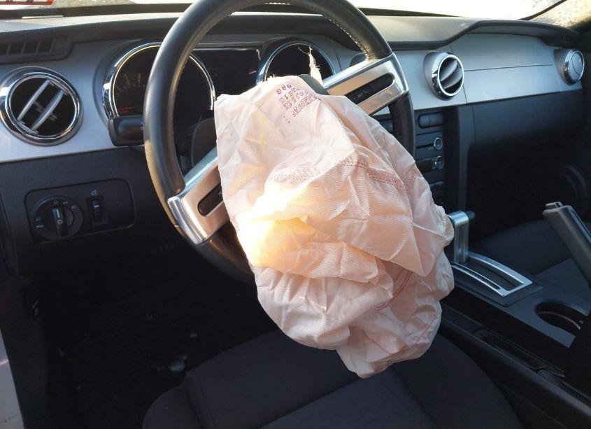 Photo 15 of 2009 Ford Mustang V6/V6 PREMIUM (VIN 1ZVHT80N895130447)