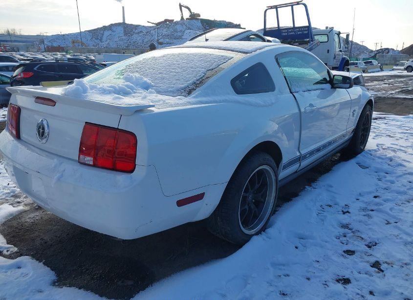 Photo 4 of 2009 Ford Mustang V6/V6 PREMIUM (VIN 1ZVHT80N895130447)