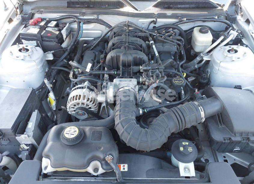 Photo 10 of 2008 Ford Mustang V6 DELUXE/V6 PREMIUM (VIN 1ZVHT80N985111968)