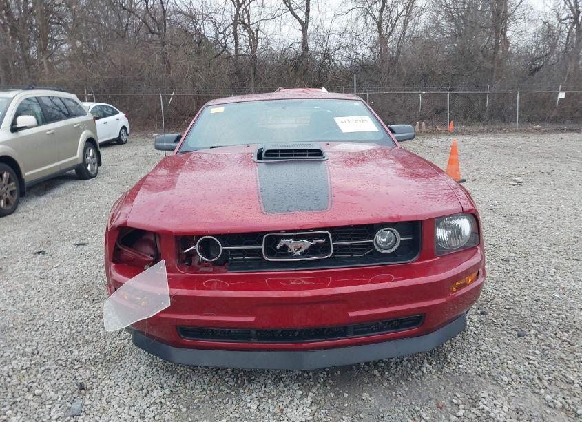 Photo 13 of 2008 Ford Mustang V6 DELUXE/V6 PREMIUM (VIN 1ZVHT80N985118676)