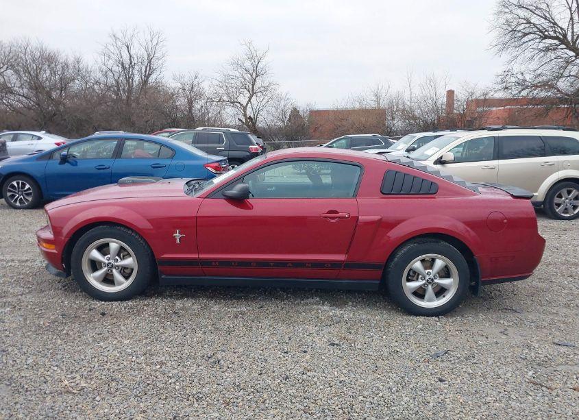 Photo 15 of 2008 Ford Mustang V6 DELUXE/V6 PREMIUM (VIN 1ZVHT80N985118676)