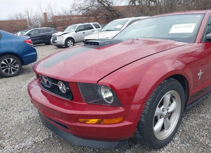Photo 19 of 2008 Ford Mustang V6 DELUXE/V6 PREMIUM (VIN 1ZVHT80N985118676)