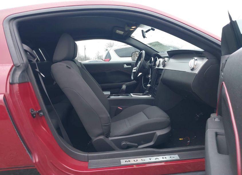 Photo 5 of 2008 Ford Mustang V6 DELUXE/V6 PREMIUM (VIN 1ZVHT80N985118676)