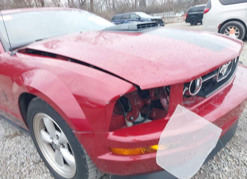 Photo 6 of 2008 Ford Mustang V6 DELUXE/V6 PREMIUM (VIN 1ZVHT80N985118676)