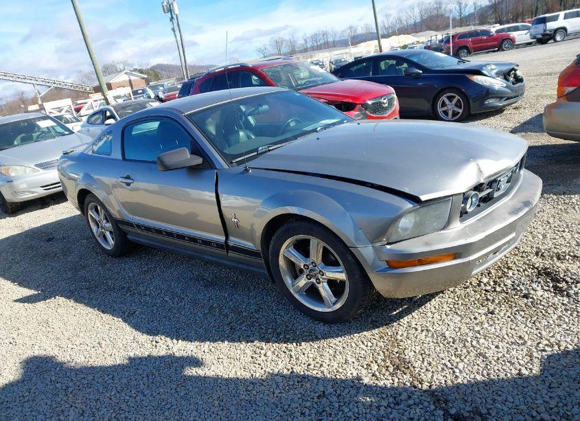 2008 Ford Mustang V6 DELUXE/V6 PREMIUM (VIN 1ZVHT80N985119388) main photo