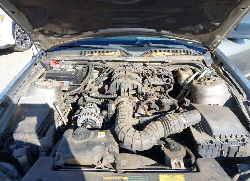 Photo 10 of 2008 Ford Mustang V6 DELUXE/V6 PREMIUM (VIN 1ZVHT80N985119388)