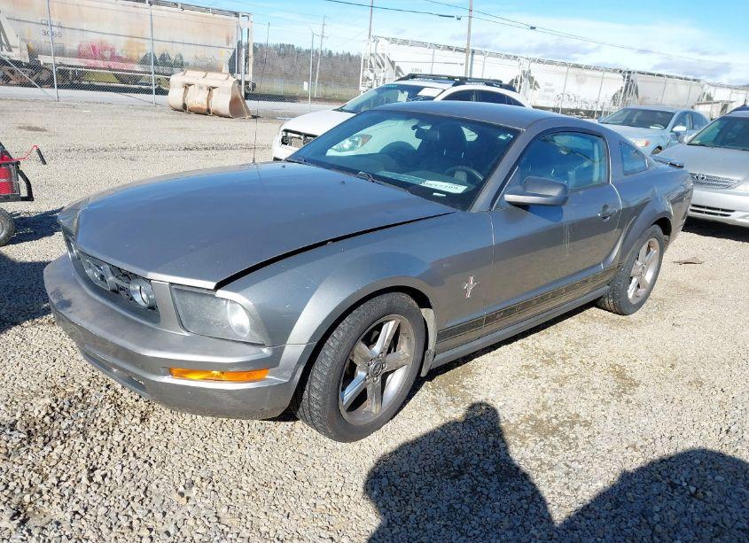 Photo 2 of 2008 Ford Mustang V6 DELUXE/V6 PREMIUM (VIN 1ZVHT80N985119388)