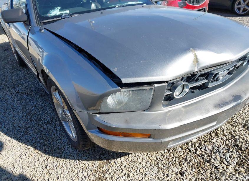 Photo 6 of 2008 Ford Mustang V6 DELUXE/V6 PREMIUM (VIN 1ZVHT80N985119388)