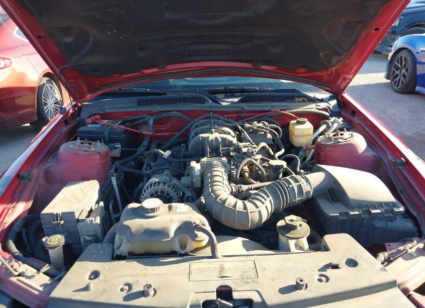 Photo 10 of 2008 Ford Mustang V6 DELUXE/V6 PREMIUM (VIN 1ZVHT80N985124414)