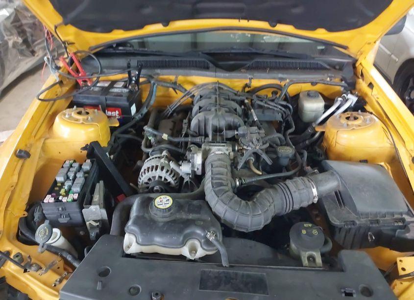 Photo 10 of 2008 Ford Mustang V6 DELUXE (VIN 1ZVHT80N985126731)