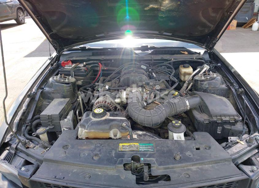 Photo 10 of 2008 Ford Mustang V6 DELUXE/V6 PREMIUM (VIN 1ZVHT80N985131766)