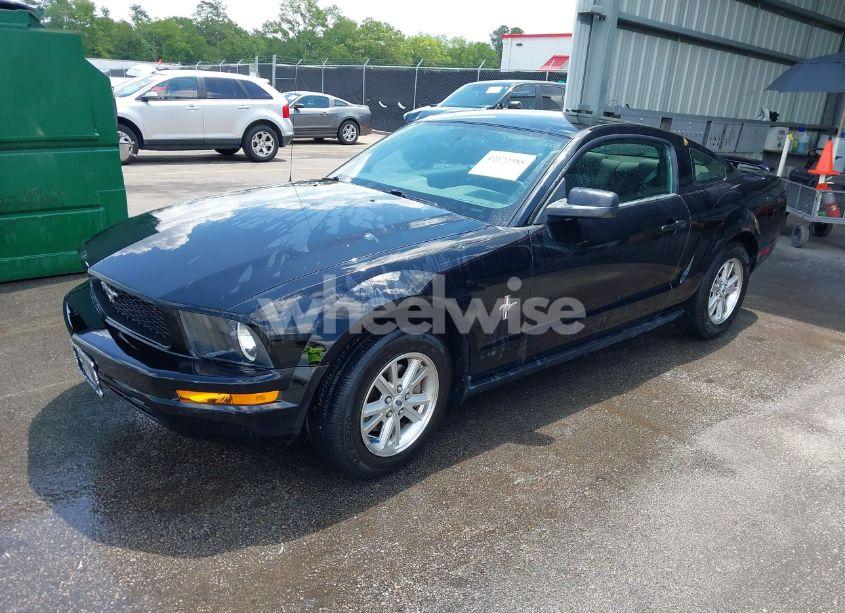 Photo 2 of 2008 Ford Mustang V6 DELUXE/V6 PREMIUM (VIN 1ZVHT80N985131766)