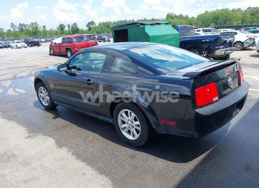 Photo 3 of 2008 Ford Mustang V6 DELUXE/V6 PREMIUM (VIN 1ZVHT80N985131766)