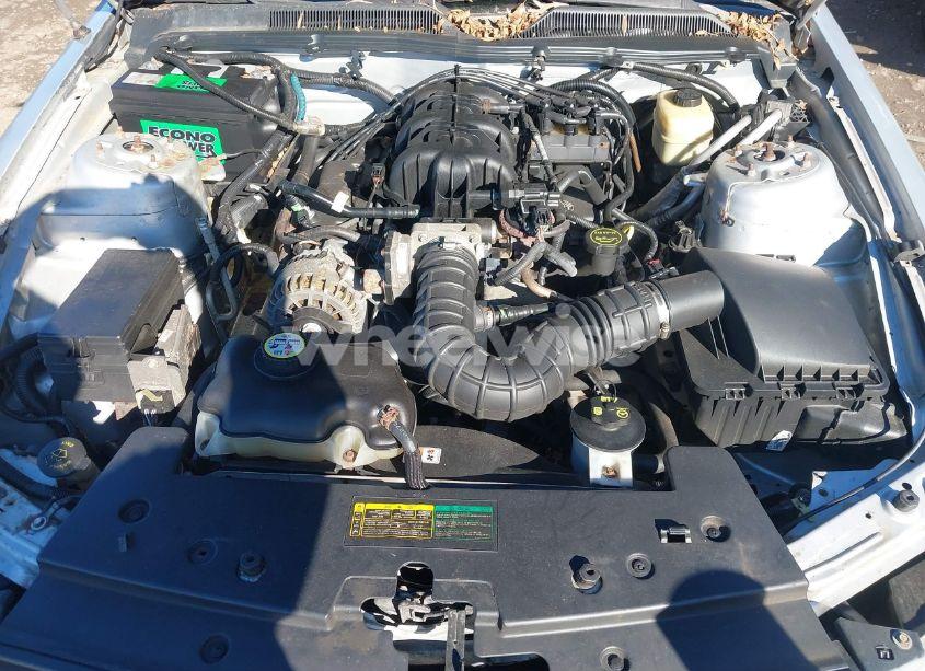 Photo 10 of 2008 Ford Mustang V6 DELUXE/V6 PREMIUM (VIN 1ZVHT80N985155453)