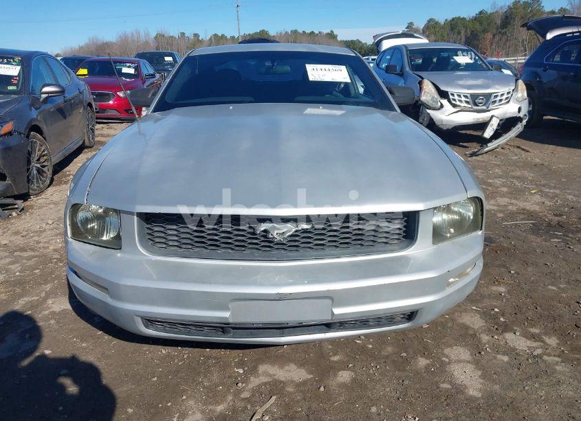 Photo 6 of 2008 Ford Mustang V6 DELUXE/V6 PREMIUM (VIN 1ZVHT80N985155453)