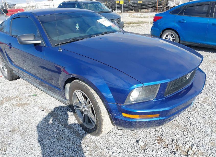 2008 Ford Mustang V6 DELUXE/V6 PREMIUM (VIN 1ZVHT80N985182992) main photo