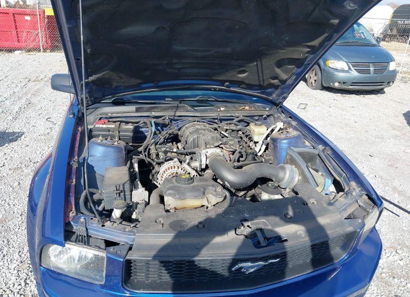 Photo 10 of 2008 Ford Mustang V6 DELUXE/V6 PREMIUM (VIN 1ZVHT80N985182992)