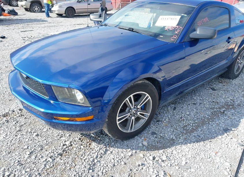 Photo 2 of 2008 Ford Mustang V6 DELUXE/V6 PREMIUM (VIN 1ZVHT80N985182992)