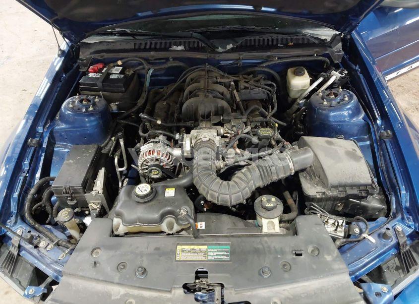 Photo 10 of 2008 Ford Mustang V6 DELUXE/V6 PREMIUM (VIN 1ZVHT80N985193359)